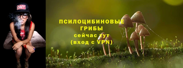 mdma Снежногорск