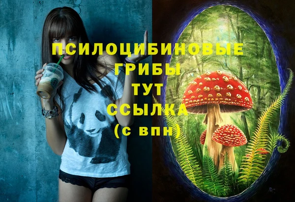 ALPHA-PVP Белокуриха