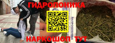 шишки Абакан