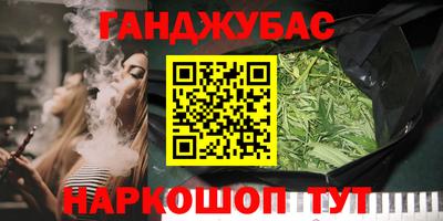 шишки Абакан
