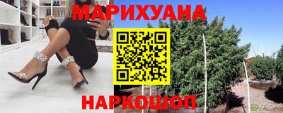 шишки Абакан
