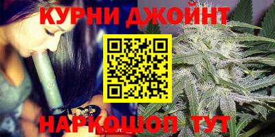 шишки Абакан