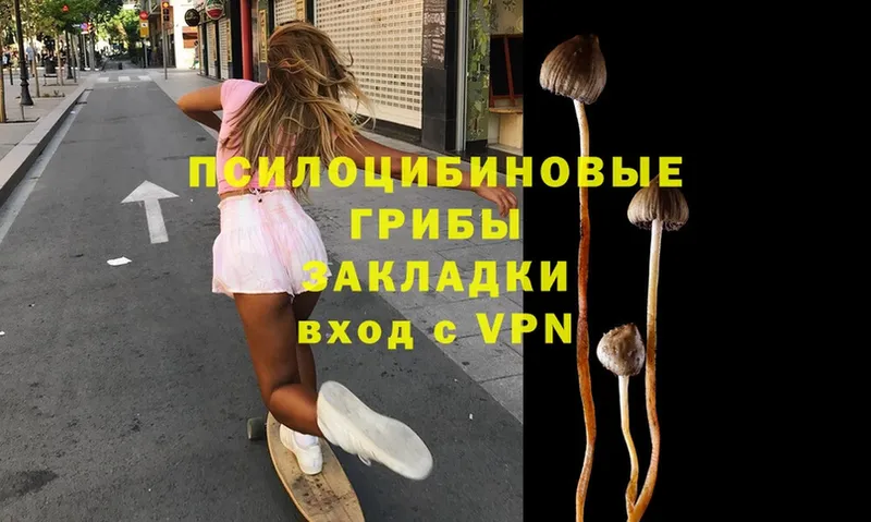 Псилоцибиновые грибы MAGIC MUSHROOMS  Дагестанские Огни 