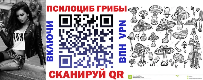 где можно купить наркотик  Дагестанские Огни  Галлюциногенные грибы Magic Shrooms 