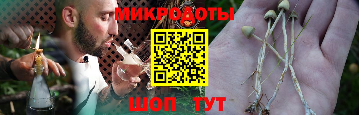 Галлюциногенные грибы GOLDEN TEACHER  Вход с VPN  Дагестанские Огни 