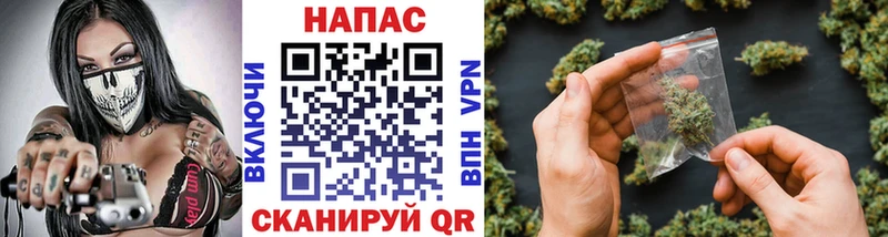 OMG зеркало  Дагестанские Огни  Каннабис тримм 